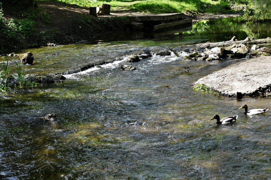 River Waveney at Harleston, on the Norfolk and Suffolk border